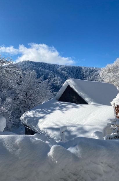 Clos-Beaumon,t-Massif-du-Sancy