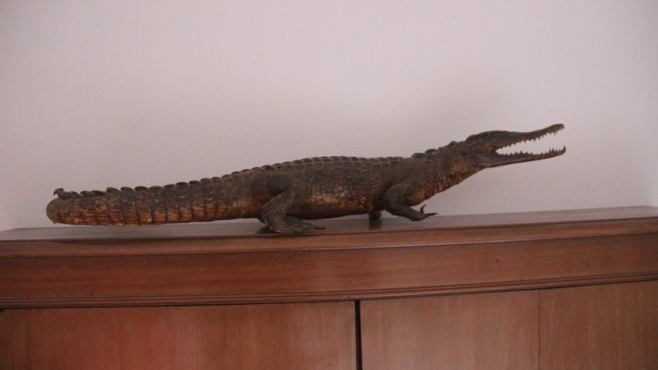 Clos-Beaumont-crocodile