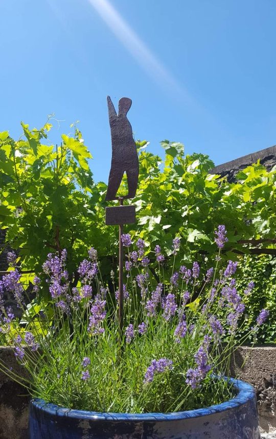Clos-Beaumont-terrasse-lavande