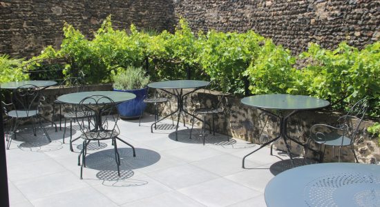 Clos-Beaumont-terrasse-vigne